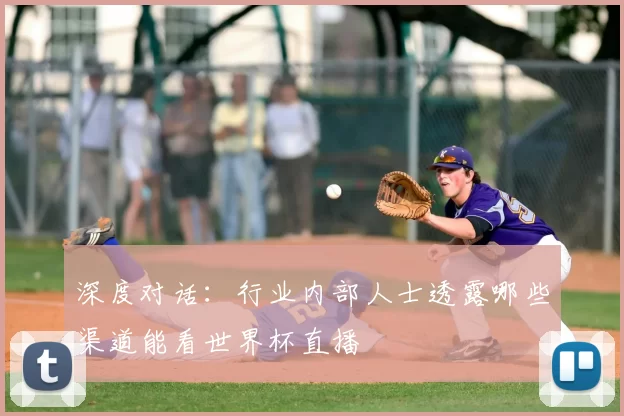 深度对话:行业内部人士透露哪些渠道能看世界杯直播