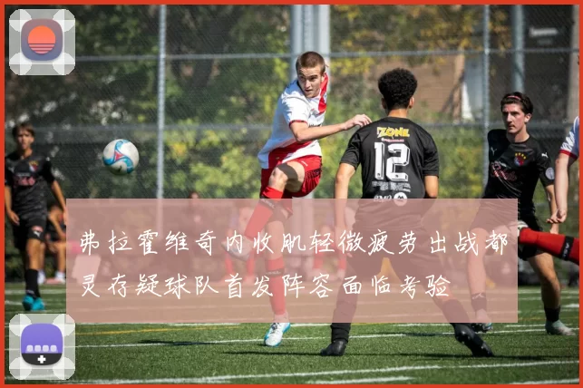弗拉霍维奇内收肌轻微疲劳出战都灵存疑球队首发阵容面临考验