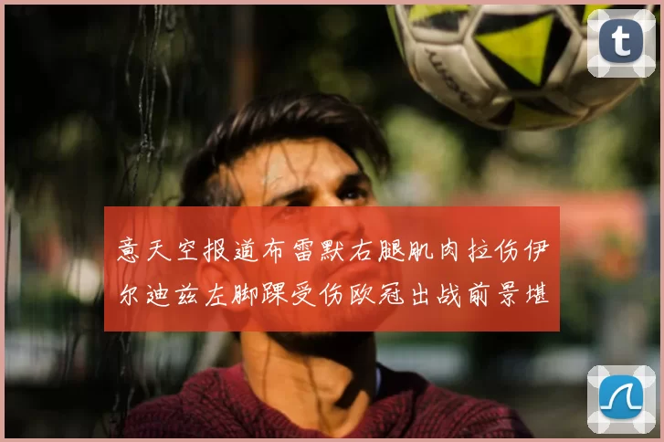 意天空报道布雷默右腿肌肉拉伤伊尔迪兹左脚踝受伤欧冠出战前景堪忧